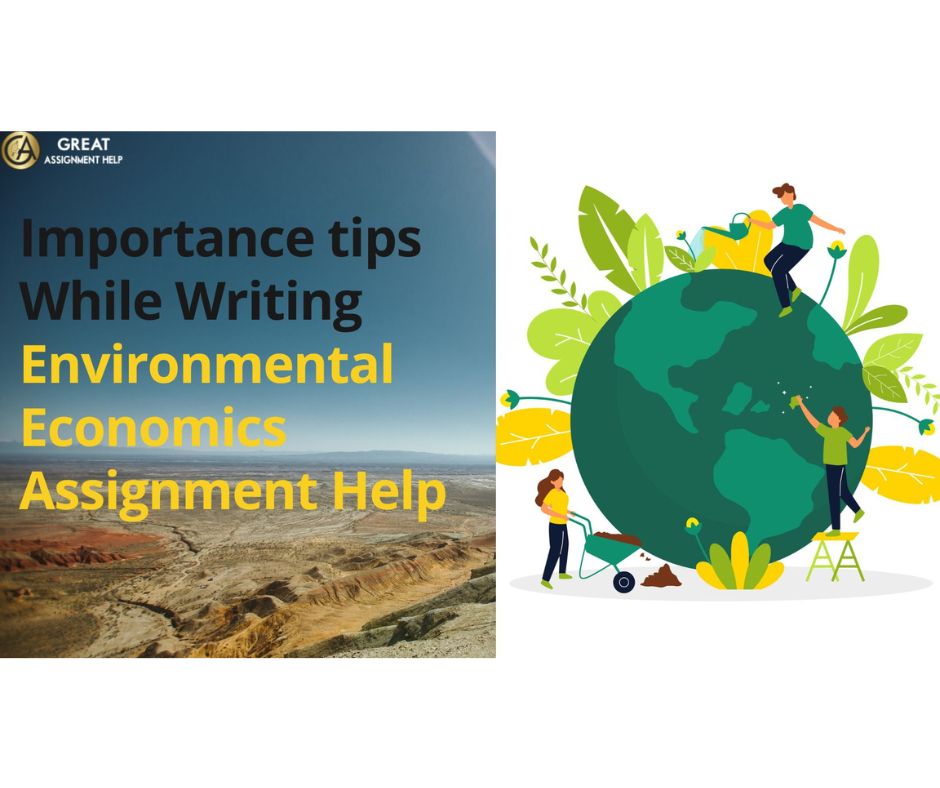 Importance tips While Writing Environmental Economics Assignment Help
